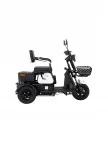 Capri Elektrikli 3 Tekerlekli Motosiklet