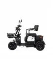 Capri Elektrikli 3 Tekerlekli Motosiklet