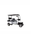Polo Plus Golf Aracı