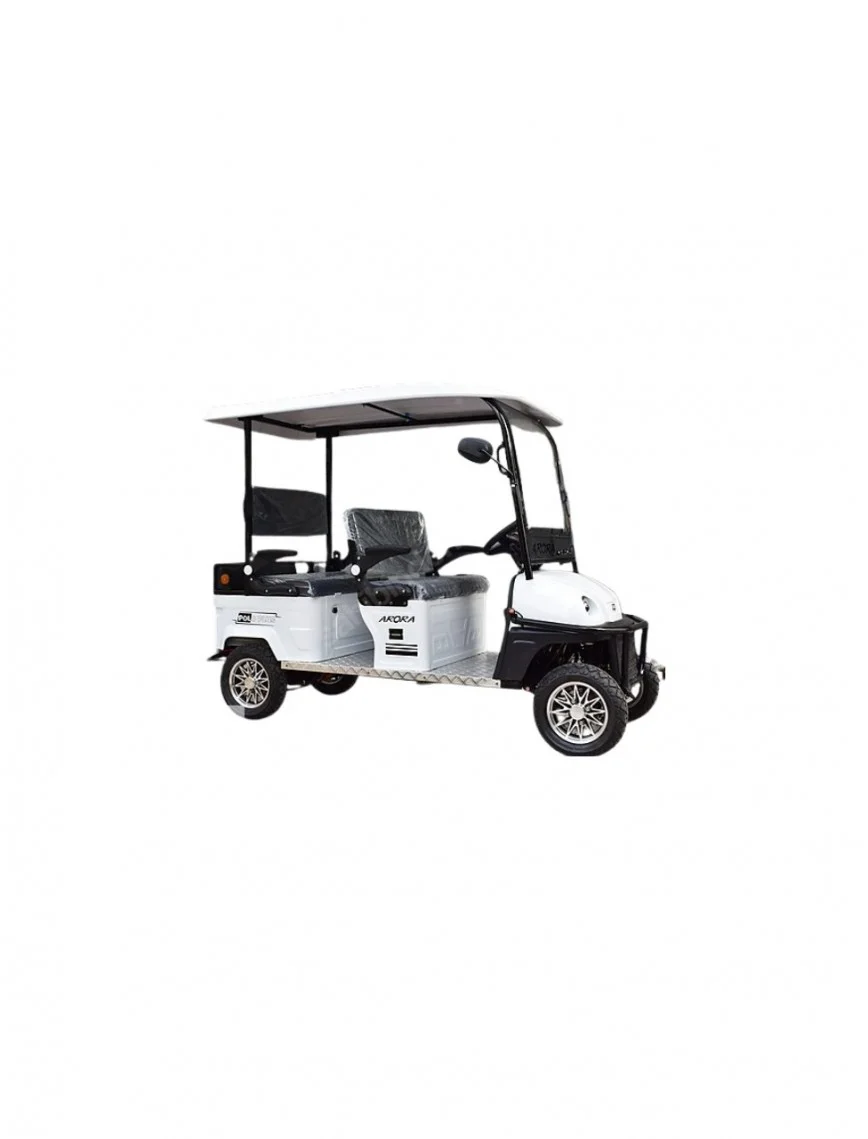 Polo Plus Golf Aracı