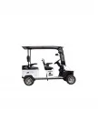 Polo Plus Golf Aracı