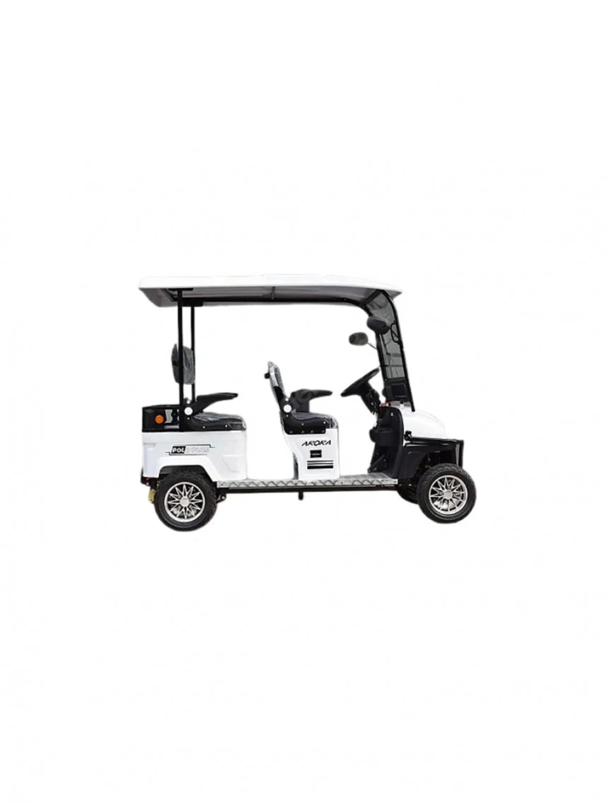 Polo Plus Golf Aracı