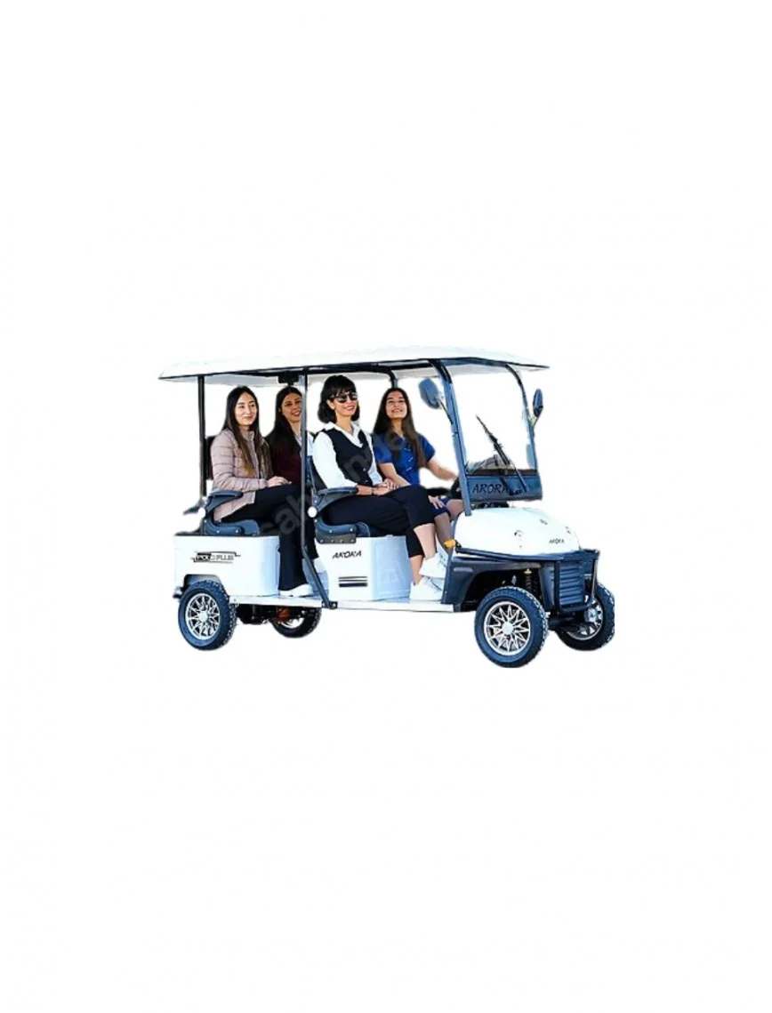 Polo Plus Golf Aracı
