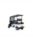 Polo Plus Golf Aracı